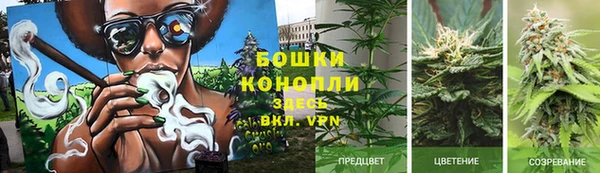 2c-b Бородино